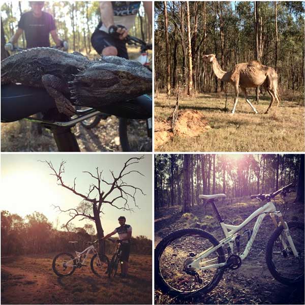 Norco Sight bike visits Australia