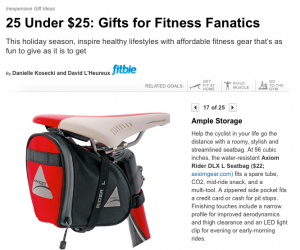 Screenshot of Axiom Rider DLX seatbag on msn.com